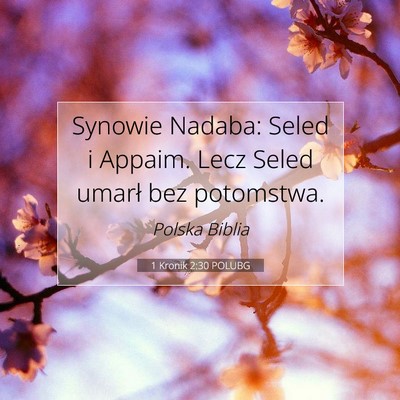 Picture 07 - 1 Kronik 2:30 POLUBG - Synowie Nadaba: Seled i Appaim. Lecz Seled umarł - Bible Verse Picture