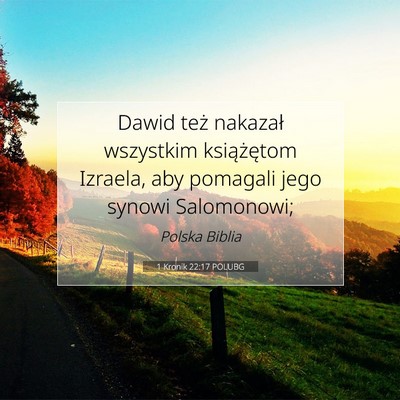 Picture 07 - 1 Kronik 22:17 POLUBG - Dawid też nakazał wszystkim książętom - Bible Verse Picture
