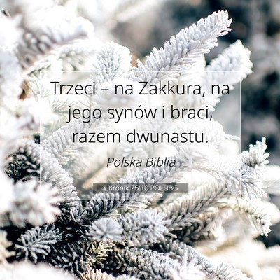 Picture 07 - 1 Kronik 25:10 POLUBG - Trzeci – na Zakkura, na jego synów i braci, - Bible Verse Picture