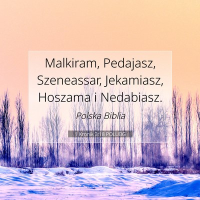 Picture 07 - 1 Kronik 3:18 POLUBG - Malkiram, Pedajasz, Szeneassar, Jekamiasz, - Bible Verse Picture