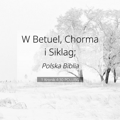 Picture 07 - 1 Kronik 4:30 POLUBG - W Betuel, Chorma i - Bible Verse Picture