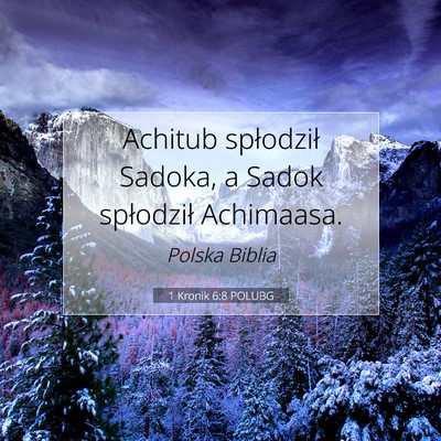 Picture 07 - 1 Kronik 6:8 POLUBG - Achitub spłodził Sadoka, a Sadok spłodził - Bible Verse Picture