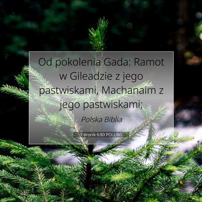 Picture 07 - 1 Kronik 6:80 POLUBG - Od pokolenia Gada: Ramot w Gileadzie z jego - Bible Verse Picture