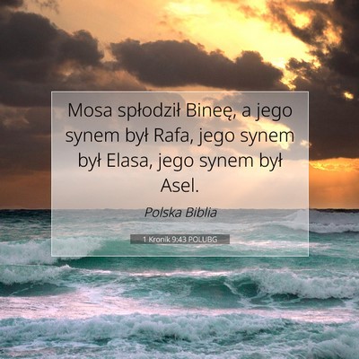 Picture 07 - 1 Kronik 9:43 POLUBG - Mosa spłodził Bineę, a jego synem był Rafa, - Bible Verse Picture