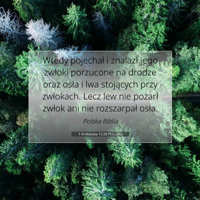 Picture 07 - 1 Królewska 13:28 POLUBG - Wtedy pojechał i znalazł jego zwłoki porzucone - Bible Verse Picture