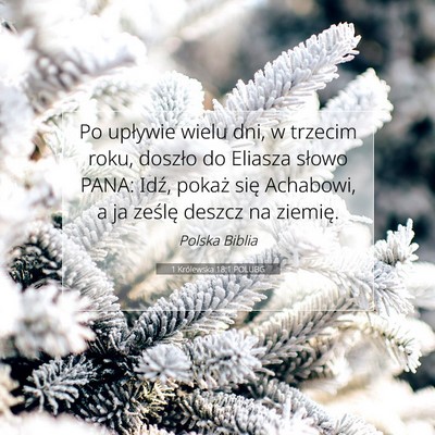 Picture 07 - 1 Królewska 18:1 POLUBG - Po upływie wielu dni, w trzecim roku, doszło do - Bible Verse Picture