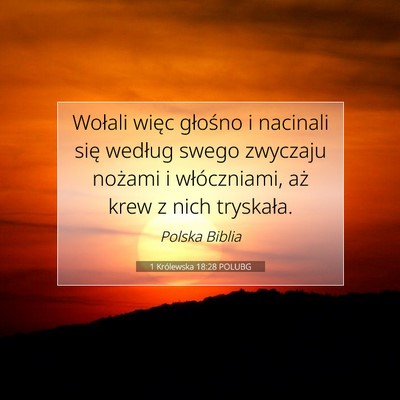 Picture 07 - 1 Królewska 18:28 POLUBG - Wołali więc głośno i nacinali się według - Bible Verse Picture