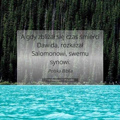 Picture 07 - 1 Królewska 2:1 POLUBG - A gdy zbliżał się czas śmierci Dawida, - Bible Verse Picture