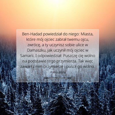 Picture 07 - 1 Królewska 20:34 POLUBG - Ben-Hadad powiedział do niego: Miasta, które - Bible Verse Picture