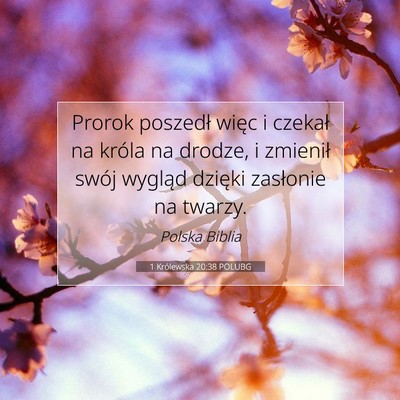 Picture 07 - 1 Królewska 20:38 POLUBG - Prorok poszedł więc i czekał na króla na - Bible Verse Picture
