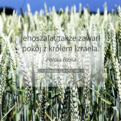 Picture 07 - 1 Królewska 22:44 POLUBG - Jehoszafat także zawarł pokój z królem - Bible Verse Picture