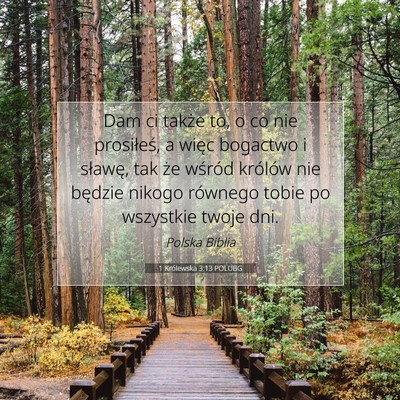 Picture 07 - 1 Królewska 3:13 POLUBG - Dam ci także to, o co nie prosiłeś, a więc - Bible Verse Picture