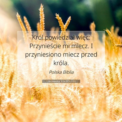 Picture 07 - 1 Królewska 3:24 POLUBG - Król powiedział więc: Przynieście mi miecz. I - Bible Verse Picture