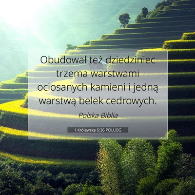 Picture 07 - 1 Królewska 6:36 POLUBG - Obudował też dziedziniec trzema warstwami - Bible Verse Picture