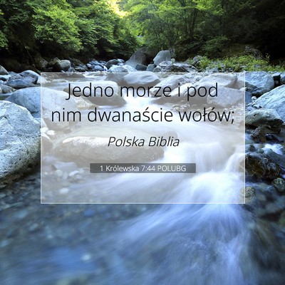 Picture 07 - 1 Królewska 7:44 POLUBG - Jedno morze i pod nim dwanaście - Bible Verse Picture