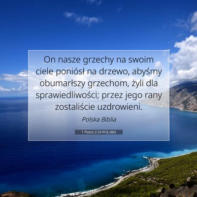 Picture 07 - 1 Piotra 2:24 POLUBG - On nasze grzechy na swoim ciele poniósł na - Bible Verse Picture