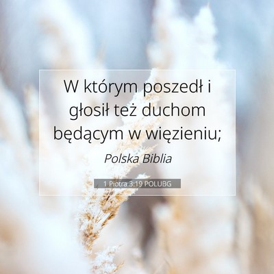 Picture 07 - 1 Piotra 3:19 POLUBG - W którym poszedł i głosił też duchom - Bible Verse Picture