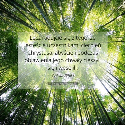 Picture 07 - 1 Piotra 4:13 POLUBG - Lecz radujcie się z tego, że jesteście - Bible Verse Picture