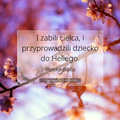 Picture 07 - 1 Samuela 1:25 POLUBG - I zabili cielca, i przyprowadzili dziecko do - Bible Verse Picture