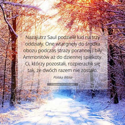 Picture 07 - 1 Samuela 11:11 POLUBG - Nazajutrz Saul podzielił lud na trzy oddziały. - Bible Verse Picture