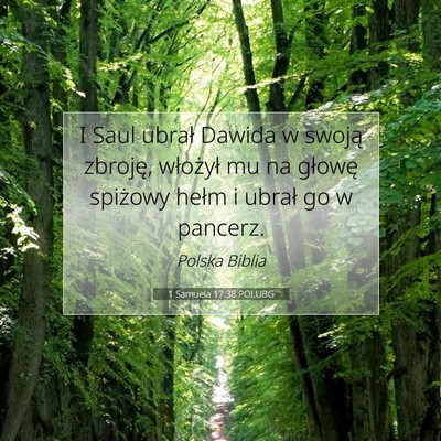 Picture 07 - 1 Samuela 17:38 POLUBG - I Saul ubrał Dawida w swoją zbroję, włożył - Bible Verse Picture