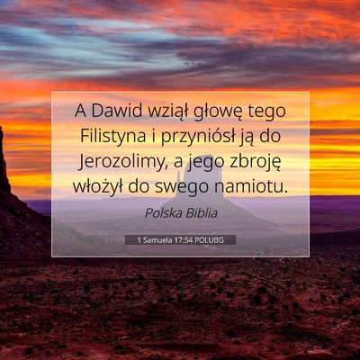Picture 07 - 1 Samuela 17:54 POLUBG - A Dawid wziął głowę tego Filistyna i - Bible Verse Picture