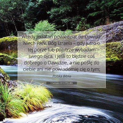 Picture 07 - 1 Samuela 20:12 POLUBG - Wtedy Jonatan powiedział do Dawida: Niech PAN, - Bible Verse Picture