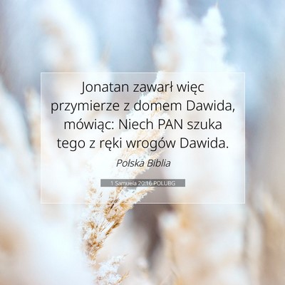 Picture 07 - 1 Samuela 20:16 POLUBG - Jonatan zawarł więc przymierze z domem Dawida, - Bible Verse Picture