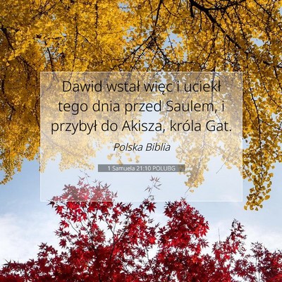 Picture 07 - 1 Samuela 21:10 POLUBG - Dawid wstał więc i uciekł tego dnia przed - Bible Verse Picture