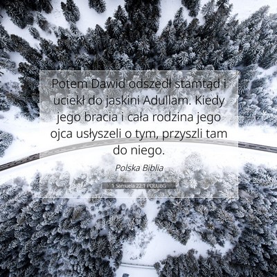Picture 07 - 1 Samuela 22:1 POLUBG - Potem Dawid odszedł stamtąd i uciekł do - Bible Verse Picture