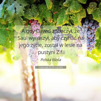 Picture 07 - 1 Samuela 23:15 POLUBG - A gdy Dawid zobaczył, że Saul wyruszył, aby - Bible Verse Picture