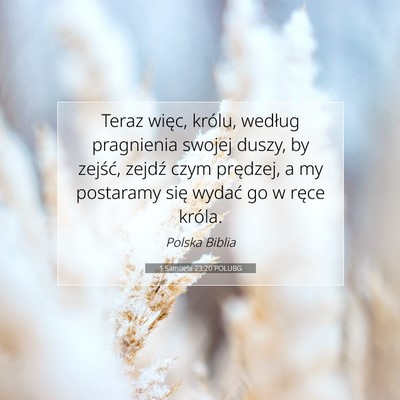 Picture 07 - 1 Samuela 23:20 POLUBG - Teraz więc, królu, według pragnienia swojej - Bible Verse Picture