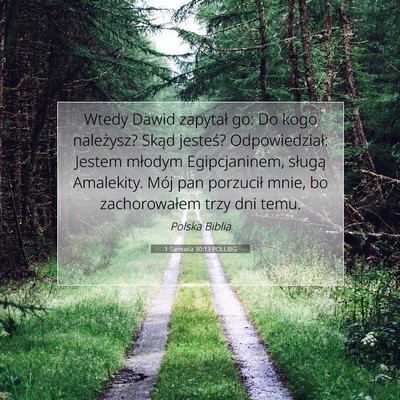 Picture 07 - 1 Samuela 30:13 POLUBG - Wtedy Dawid zapytał go: Do kogo należysz? Skąd - Bible Verse Picture