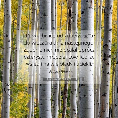 Picture 07 - 1 Samuela 30:17 POLUBG - I Dawid bił ich od zmierzchu aż do wieczora - Bible Verse Picture