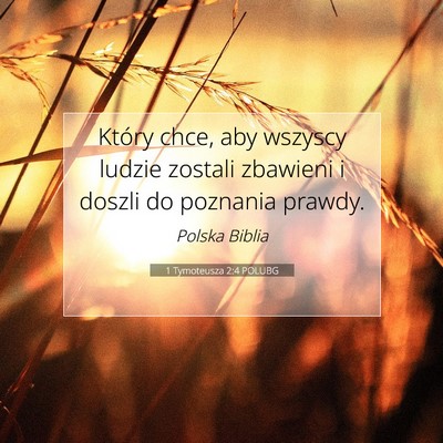 Picture 07 - 1 Tymoteusza 2:4 POLUBG - Który chce, aby wszyscy ludzie zostali zbawieni - Bible Verse Picture