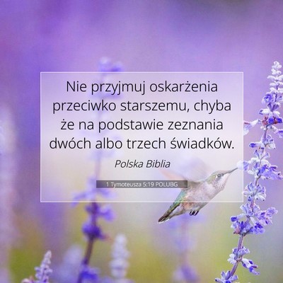 Picture 07 - 1 Tymoteusza 5:19 POLUBG - Nie przyjmuj oskarżenia przeciwko starszemu, - Bible Verse Picture