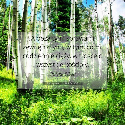 Picture 07 - 2 Koryntian 11:28 POLUBG - A poza tymi sprawami zewnętrznymi, w tym, co mi - Bible Verse Picture