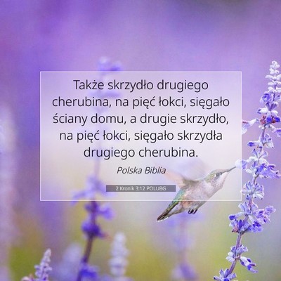 Picture 07 - 2 Kronik 3:12 POLUBG - Także skrzydło drugiego cherubina, na pięć - Bible Verse Picture