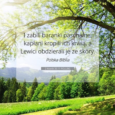 Picture 07 - 2 Kronik 35:11 POLUBG - I zabili baranki paschalne, kapłani kropili ich - Bible Verse Picture