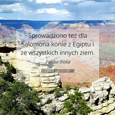Picture 07 - 2 Kronik 9:28 POLUBG - Sprowadzono też dla Salomona konie z Egiptu i ze - Bible Verse Picture