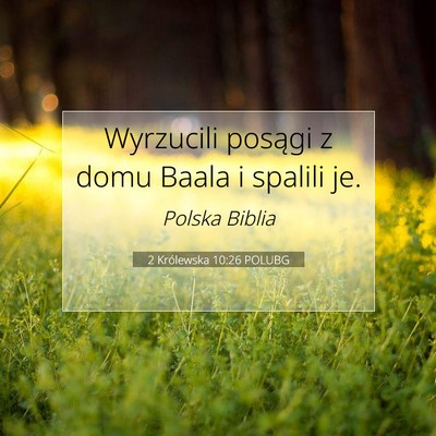 Picture 07 - 2 Królewska 10:26 POLUBG - Wyrzucili posągi z domu Baala i spalili - Bible Verse Picture