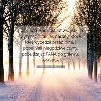 Picture 07 - 2 Królewska 17:11 POLUBG - I palili tam kadzidła na wszystkich wyżynach, - Bible Verse Picture