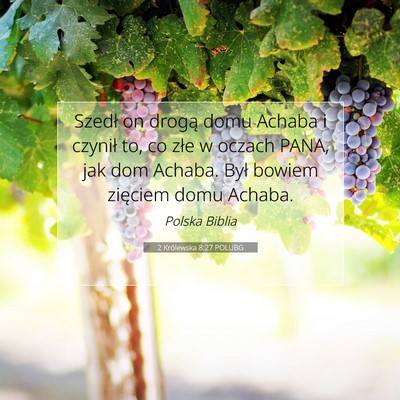 Picture 07 - 2 Królewska 8:27 POLUBG - Szedł on drogą domu Achaba i czynił to, co - Bible Verse Picture