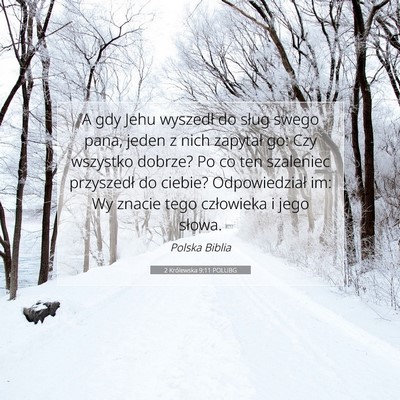 Picture 07 - 2 Królewska 9:11 POLUBG - A gdy Jehu wyszedł do sług swego pana, jeden z - Bible Verse Picture