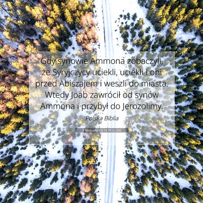 Picture 07 - 2 Samuela 10:14 POLUBG - Gdy synowie Ammona zobaczyli, że Syryjczycy - Bible Verse Picture