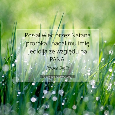Picture 07 - 2 Samuela 12:25 POLUBG - Posłał więc przez Natana proroka i nadał mu - Bible Verse Picture