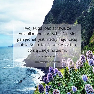 Picture 07 - 2 Samuela 14:20 POLUBG - Twój sługa Joab sprawił, że zmieniłam - Bible Verse Picture