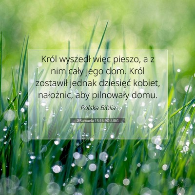 Picture 07 - 2 Samuela 15:16 POLUBG - Król wyszedł więc pieszo, a z nim cały jego - Bible Verse Picture