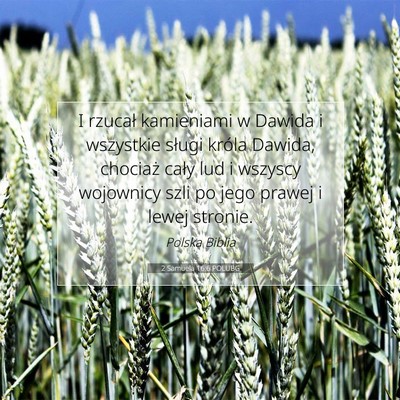 Picture 07 - 2 Samuela 16:6 POLUBG - I rzucał kamieniami w Dawida i wszystkie sługi - Bible Verse Picture