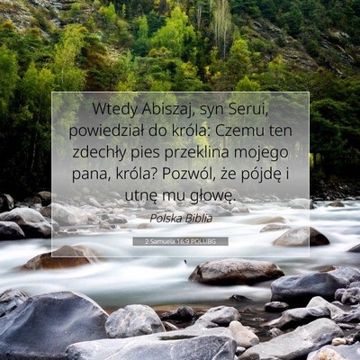 Picture 07 - 2 Samuela 16:9 POLUBG - Wtedy Abiszaj, syn Serui, powiedział do króla: - Bible Verse Picture